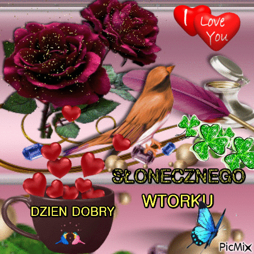 Ptaszek wśród bordowych róż - Wtorek